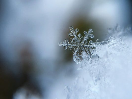 Winterliche Motive für Geburtstagskarten - karten-digital